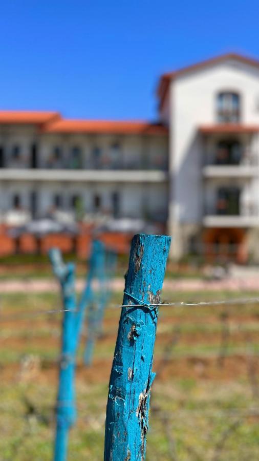 Tsinandali Resort & Spa Exteriér fotografie